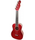 Concert Ukulele Fender Zuma Classic CAR