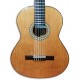 Foto de la tapa de la Guitarra Clásica Artimúsica GC01C