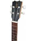 Foto da cabeça do Ukulele Tenor APC TMX com Boca Lateral