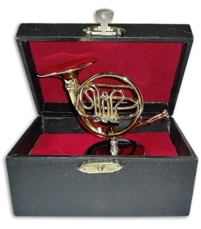 Photo of the Miniature Ortolá 8132 DD001 French Horn inside the case