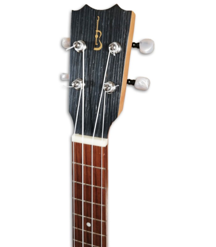 Photo of the Ukulele Concerto APC CS Simples with Preamp head