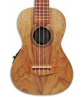 Foto do tampo do Ukulele Concerto APC CS Simples com Pré-amplificador