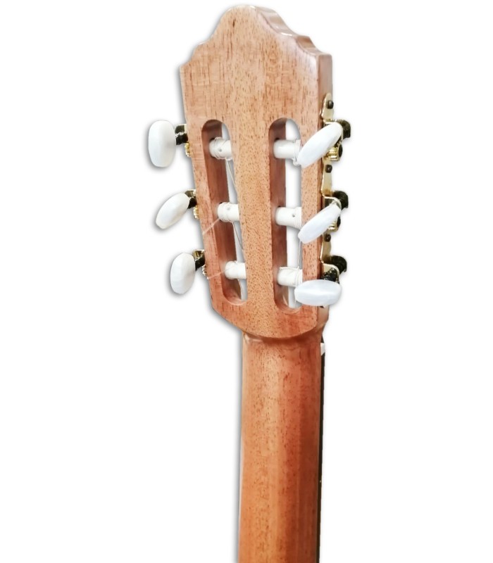 Photo of the APC Classical Guitar 3C machine head