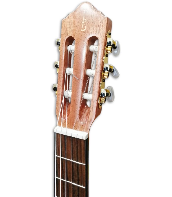 Foto da cabeça da Guitarra Clássica APC 3C