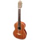 Photo of the APC Classical Guitar 3C