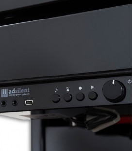 Foto do sistema Adsilent para piano vertical