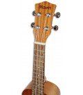 Photo of the Ukulele Maori WK 1S Soprano head