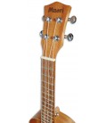 Foto da cabeça do Ukulele Maori WK 1C Concerto