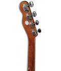 Foto do carrilhão do Ukulele Concerto Fender Zuma Classic BGM