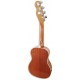 Foto do fundo do Ukulele Concerto Fender Zuma Classic BGM