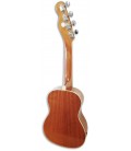 Foto do fundo do Ukulele Concerto Fender Zuma Classic BGM