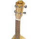 Photo of the Ukulele Maori WK 2C Concert head