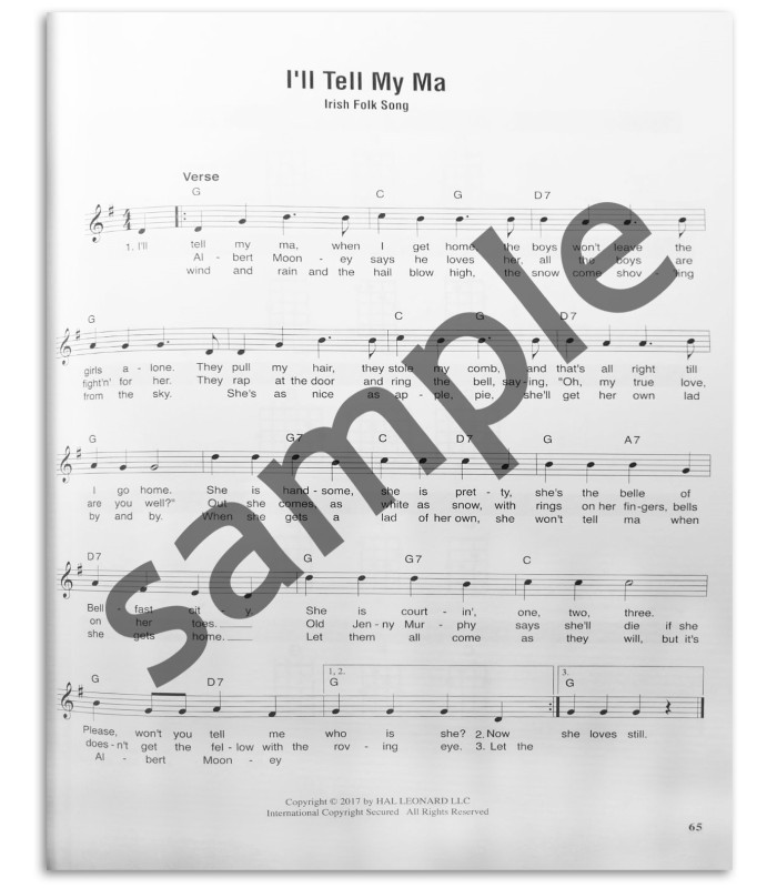 Foto de outra amostra do livro Celtic Songs Strum Together Guitar