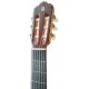 Photo of the Alhambra Classical Guitar 5P CW E8 head