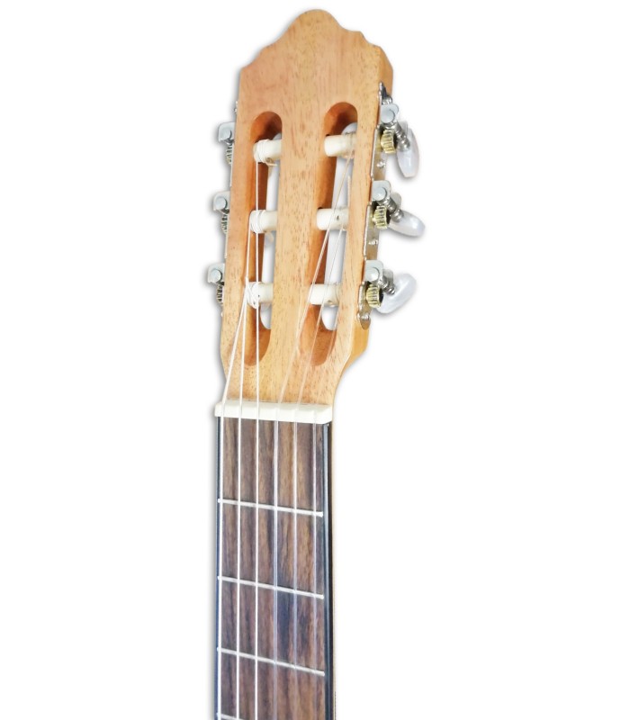 Photo of the Classical Guitar APC 1C CW head