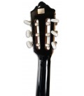 Foto del clavijero de la Guitarra Clásica Ashton modelo SPCG-34BK