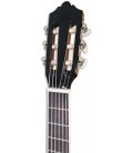 Foto de la cabeza de la Guitarra Clásica Ashton modelo SPCG-34BK