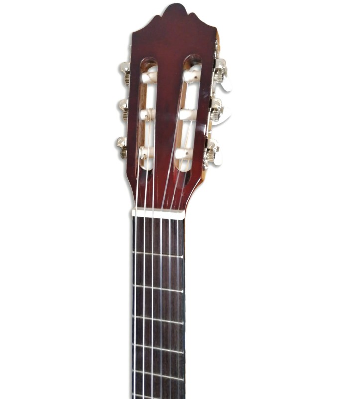 Foto de la cabeza de la Guitarra Clásica Ashton modelo SPCG-34AM