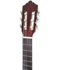 Foto da cabeça da Guitarra Clássica Ashton modelo SPCG-34AM