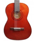 Foto do tampo Guitarra Clássica Ashton modelo SPCG-34AM