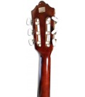 Foto del clavijero de la Guitarra Clásica Ashton modelo SPCG-12TAM