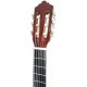 Photo of the Classical Guitar Ashton model SPCG-12TAM head