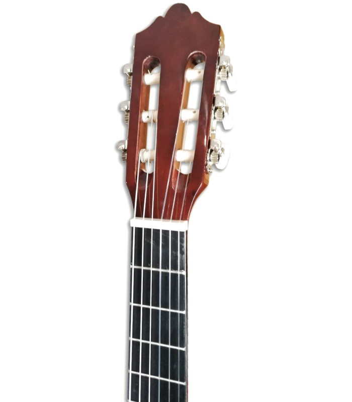 Foto de la cabeza de la Guitarra Clásica Ashton modelo SPCG-12TAM