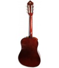 Foto del fondo de la Guitarra Clásica Ashton modelo SPCG-12AM
