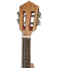 Foto da cabeça do Cavaquinho Brasileiro Artimúsica modelo CV51C Meio Luxo