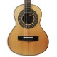Photo of the Artimúsica Brazilian Cavaquinho model CV51C Half Deluxe top