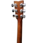 Foto del clavijero de la Guitarra Folk del pack Yamaha F310