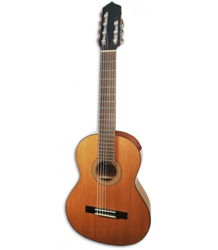 Partes de la guitarra. Notas básicas de guitarra.