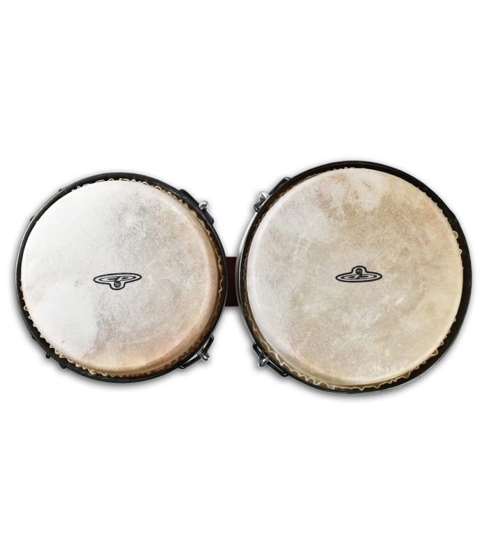Photo of LP Pair of Bongos model CP221-DW's skin heads