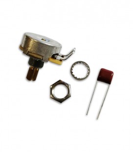 Foto do Potenciómetro Fender Original 250K com acessórios