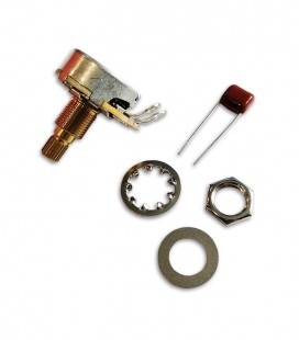 Photo of the Potentiometer Fender Original 500K with accessories