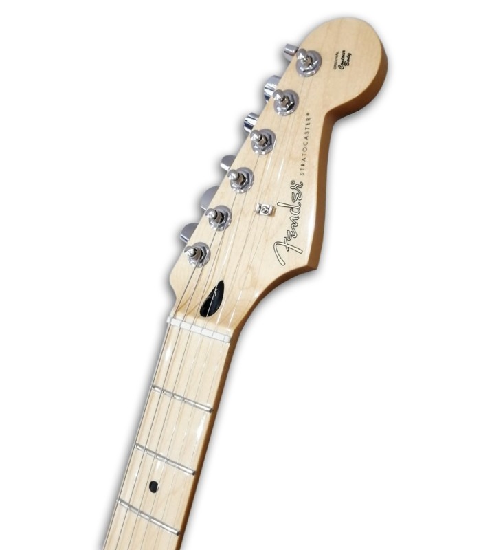 Foto de la cabeza de la Guitarra Eléctrica Fender Player Strato MN 3TS