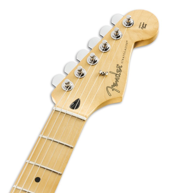 Photo of the Eletric Guitar Fender model Player Strato MN in color Polar White's head