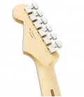 Foto dos carrilhões da Guitarra Elétrica Fender modelo Player Strato MN em cor Polar White