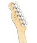 Foto dos carrilhões da Guitarra Elétrica Fender modelo Player Telecaster MN em cor Butterscotch Blonde