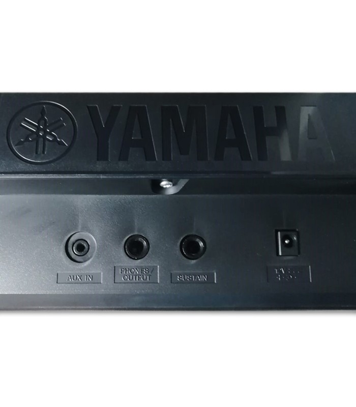 Foto de las entradas y salidas del Teclado Portátil Yamaha modelo PSR E273