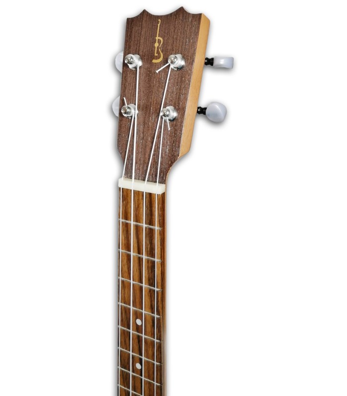 Foto da cabeça do Ukulele APC modelo TS103 Tenor