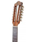 Foto de la cabeza Viola da Terra Artimúsica modelo VA90C
