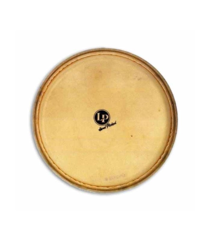 LP Head for Conga LP274BE Galaxy Giovanni Synthetic