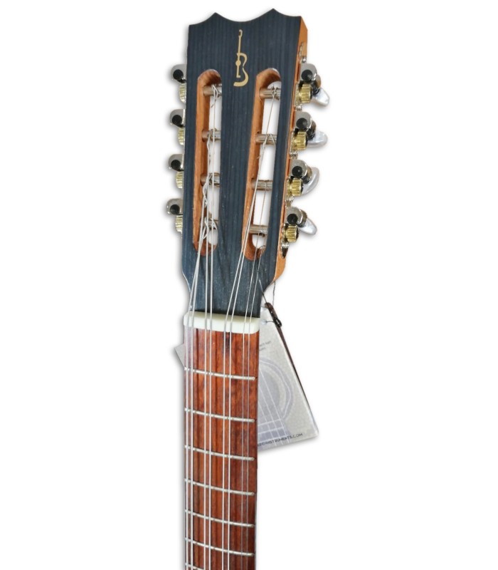 Head of the banjo bandola APC model BJMDA100
