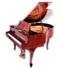 Foto do Piano de Cauda Petrof modelo P159 Bora Demichipendale da Style Collection