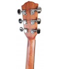 Foto del clavijero de la Guitarra Folk Fender modelo FA-15