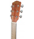 Foto de la cabeza de la Guitarra Folk Fender modelo FA-15