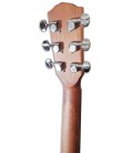 Photo of the Folk Guitar Fender model FA-15's machine heads