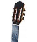 Photo of the classical guitar Paco Castillo model 235 TE's headstock