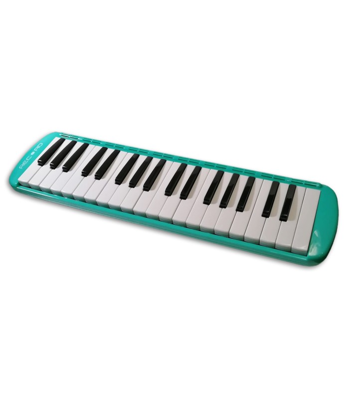 Photo of the Melodica Record model M-37GR